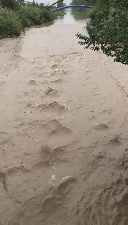 10月1日上午10时许，海门市大洪新闸抢排涝水.png