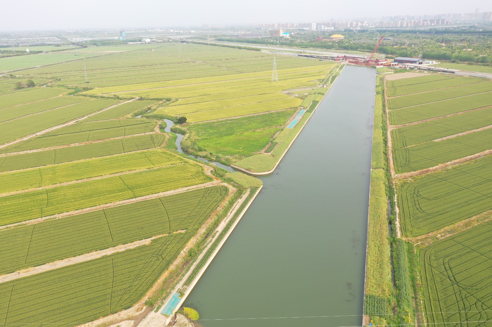 7.刘陈河万顷良田实景.jpg