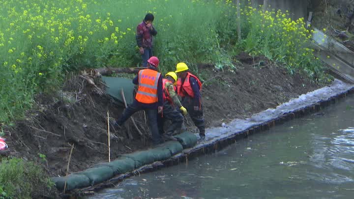 九圩港灌区2.jpg